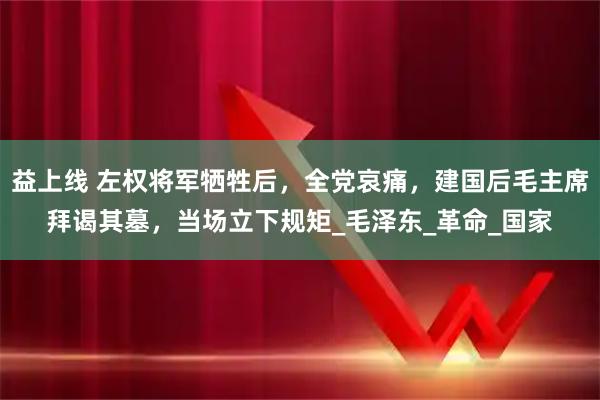 益上线 左权将军牺牲后，全党哀痛，建国后毛主席拜谒其墓，当场立下规矩_毛泽东_革命_国家